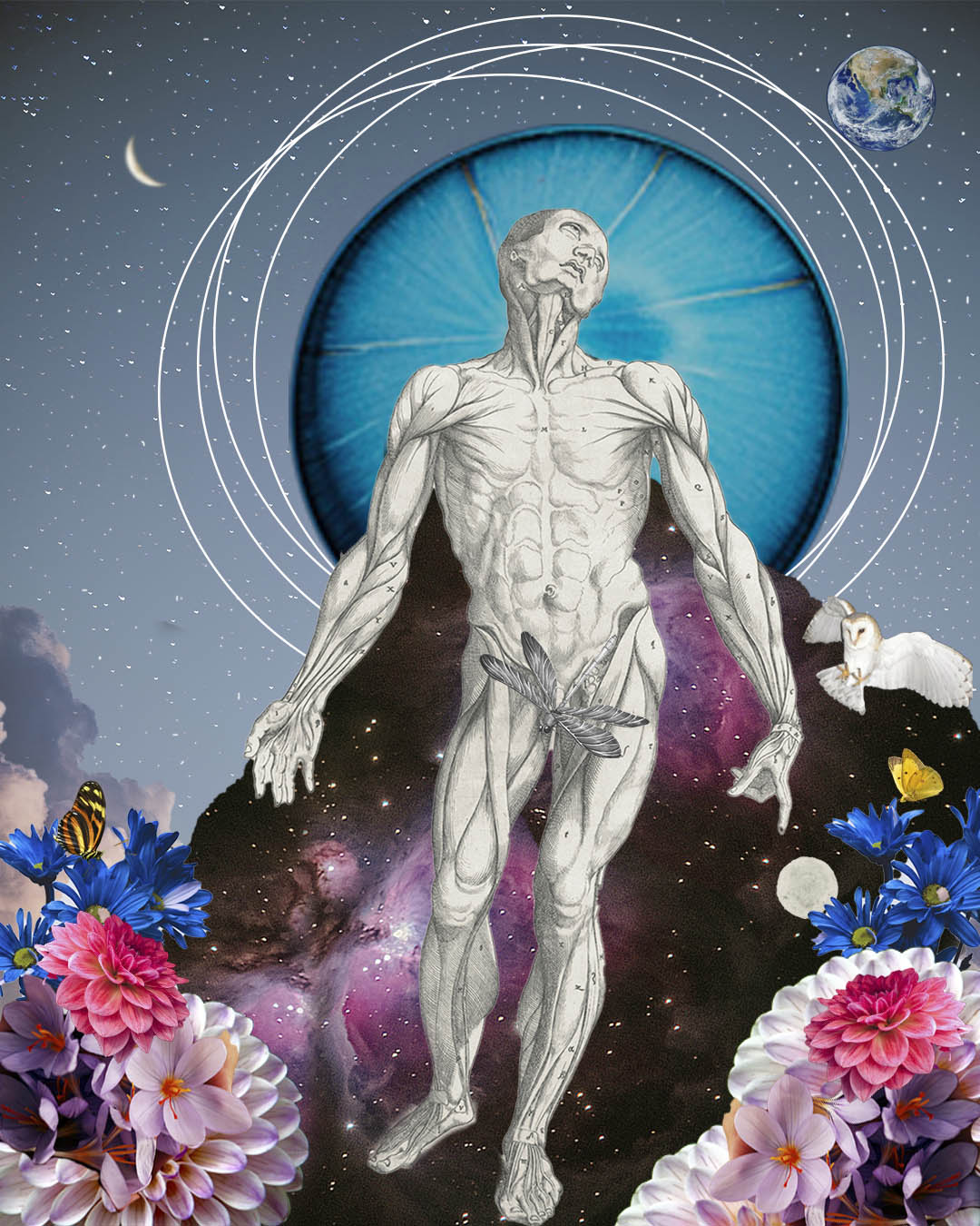 Digital collage 04