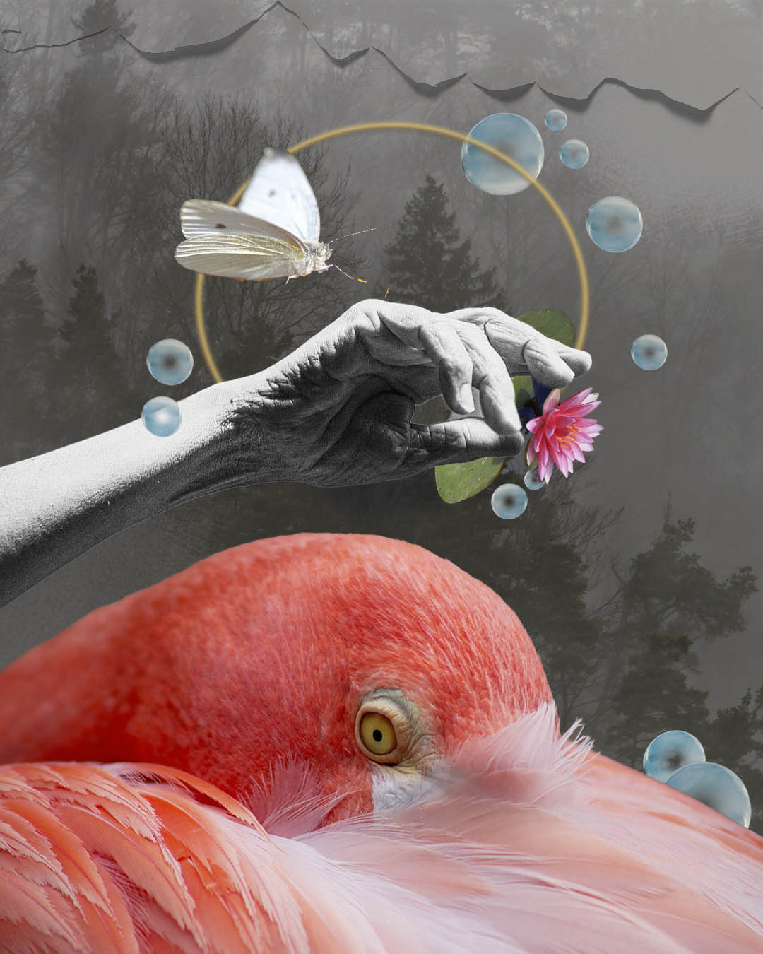 Digital collage 05